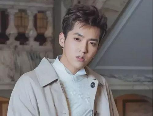 娱乐圈吃瓜吴亦凡,揭秘吃瓜背后的真相与影响